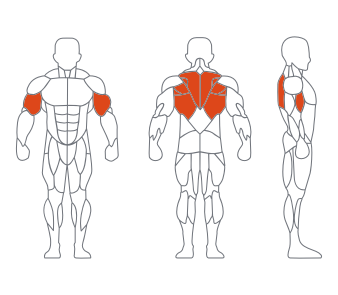 LD1034坐式平行拉背训练器 副本.png