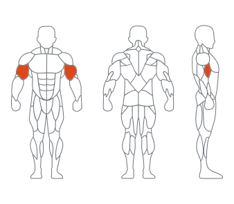 LS029 45度二头肌训练器 LS029 45度二头肌训练器